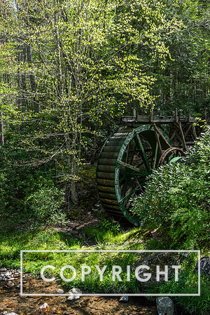 Roan Mountain State Park, Eastern TN