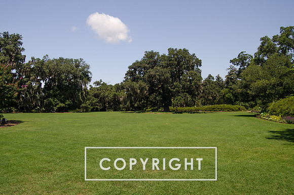 Airlie Gardens-14