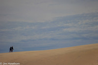 The dunes of Jockeys Ridge, NC