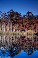 Reflections