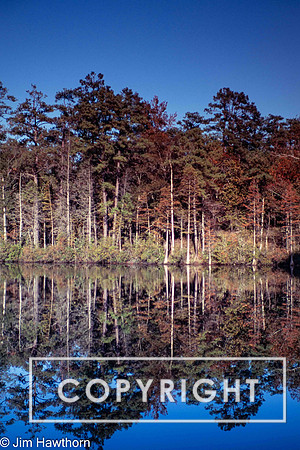 Reflections