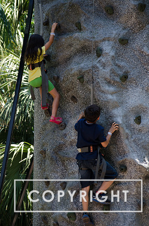 Climbing wall