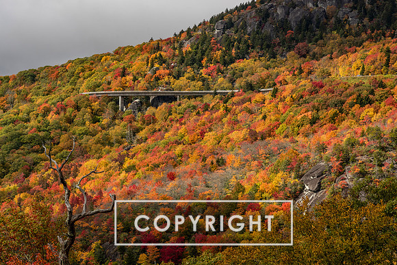 Fall foliage 2023 in Western North Carolina