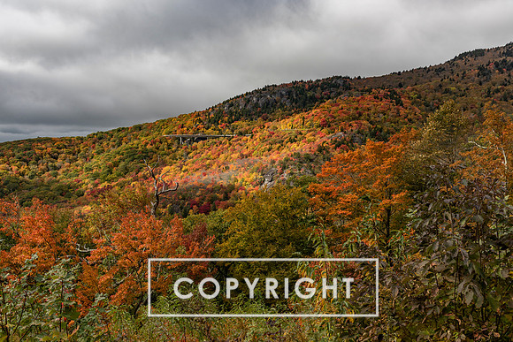 Fall foliage 2023 in Western North Carolina
