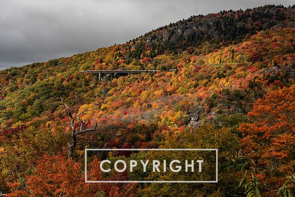 Fall foliage 2023 in Western North Carolina