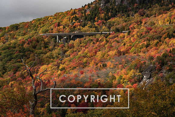 Fall foliage 2023 in Western North Carolina