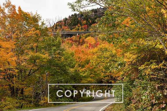 Fall foliage 2023 in Western North Carolina