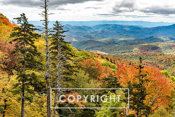 Fall foliage 2023 in Western North Carolina