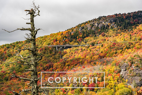 Fall foliage 2023 in Western North Carolina