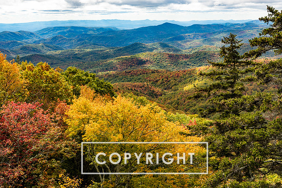 Fall foliage 2023 in Western North Carolina