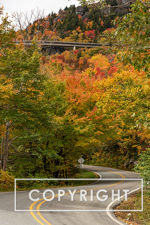 Fall foliage 2023 in Western North Carolina
