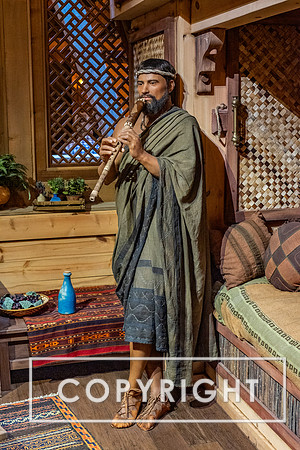 The Ark Encounter