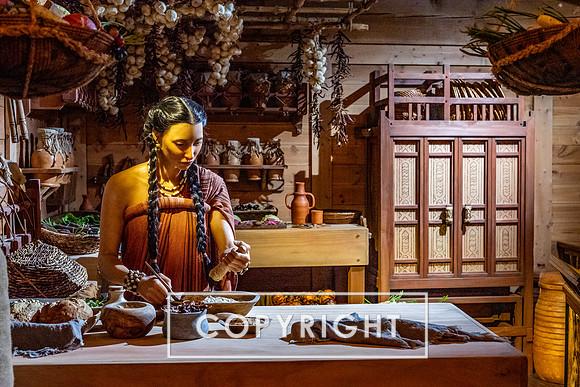The Ark Encounter