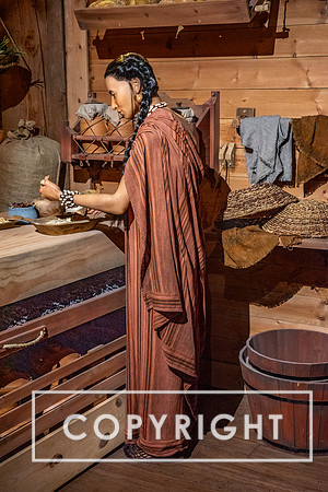 The Ark Encounter
