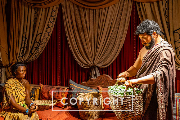 The Ark Encounter