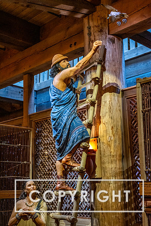 The Ark Encounter