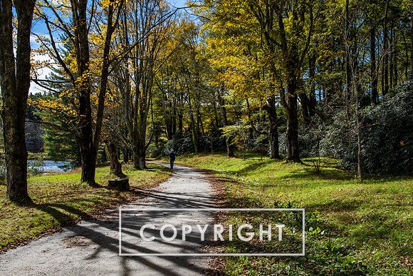 Bass Lake walkway