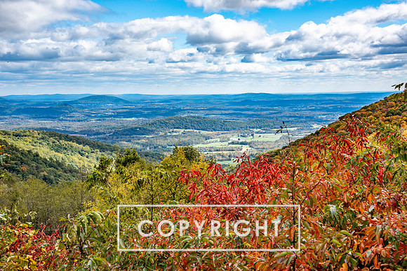 The Shenandoah Valley