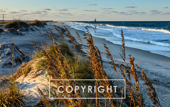 Pea Island near sunset.