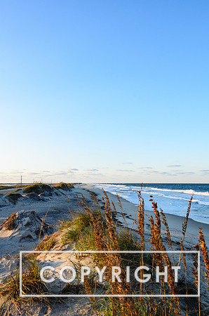 Pea Island near sunset.