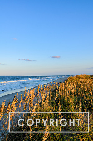 Pea Island near sunset.