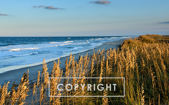 Pea Island near sunset.