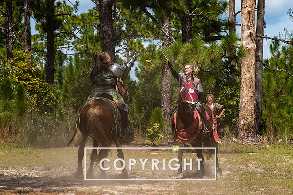 Renaissance Fair at Ft Bragg, NC