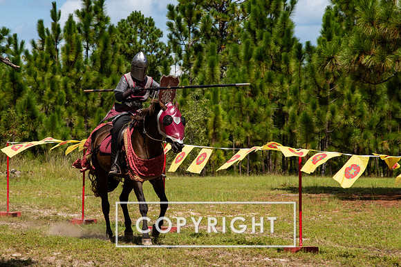 Renaissance Fair at Ft Bragg, NC