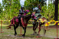 Renaissance Fair at Ft Bragg, NC