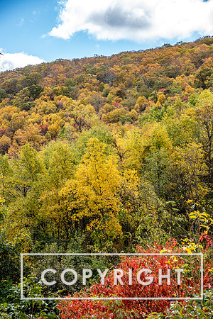 The Shenandoah Valley