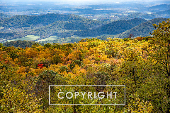The Shenandoah Valley