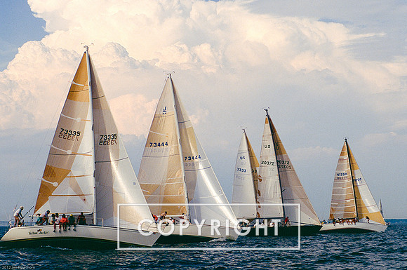 Sailboat Racing