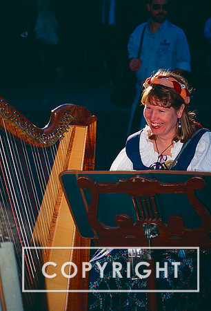 Harpist