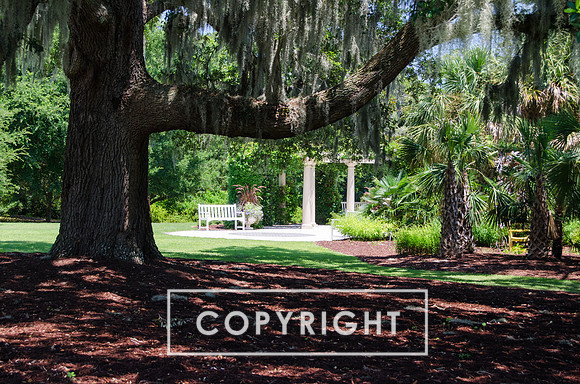 Airlie Gardens-22