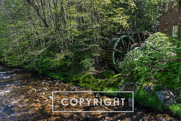 Roan Mountain State Park, Eastern TN